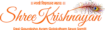 Krishnayan Logo